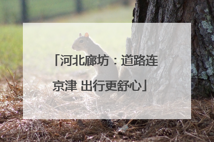 河北廊坊：道路连京津 出行更舒心