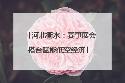 河北衡水：赛事展会搭台赋能低空经济