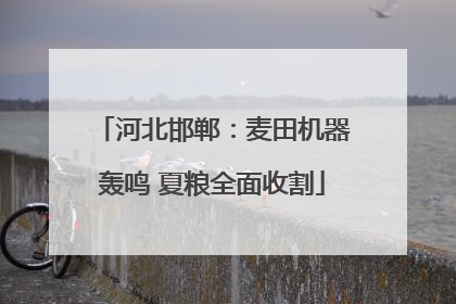 河北邯郸：麦田机器轰鸣 夏粮全面收割