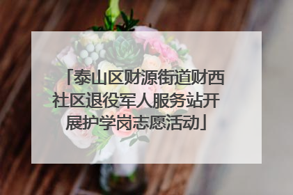 泰山区财源街道财西社区退役军人服务站开展护学岗志愿活动
