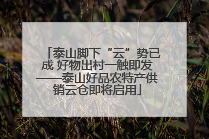 泰山脚下“云”势已成 好物出村一触即发——泰山好品农特产供销云仓即将启用