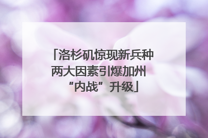 洛杉矶惊现新兵种 两大因素引爆加州“内战”升级