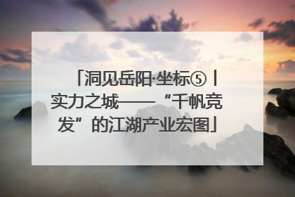洞见岳阳·坐标⑤丨实力之城——“千帆竞发”的江湖产业宏图