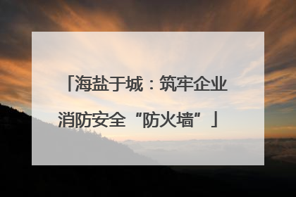 海盐于城：筑牢企业消防安全“防火墙”