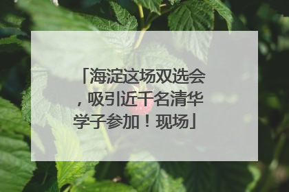 海淀这场双选会，吸引近千名清华学子参加！现场