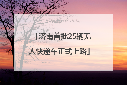济南首批25辆无人快递车正式上路