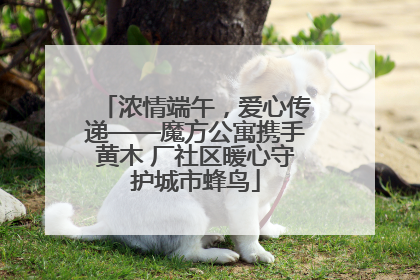 浓情端午，爱心传递——魔方公寓携手黄木 厂社区暖心守护城市蜂鸟