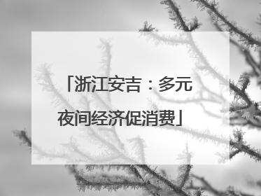 浙江安吉：多元夜间经济促消费