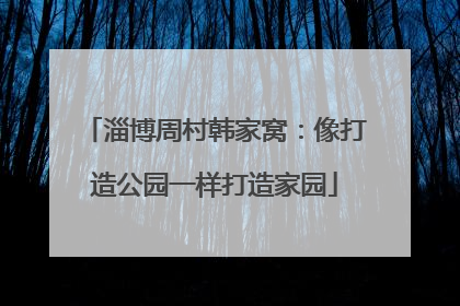 淄博周村韩家窝：像打造公园一样打造家园
