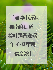 淄博市沂源县南麻街道：粽叶飘香迎端午 心系军属情意浓