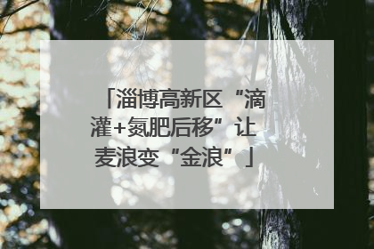 淄博高新区“滴灌+氮肥后移”让麦浪变“金浪”