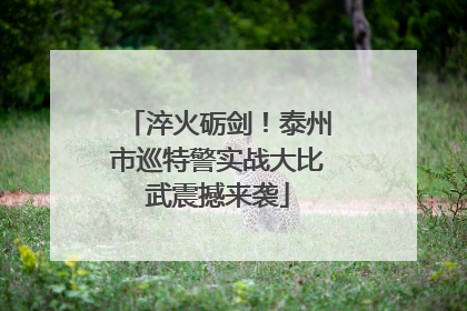淬火砺剑！泰州市巡特警实战大比武震撼来袭