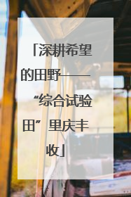 深耕希望的田野——“综合试验田”里庆丰收