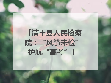 清丰县人民检察院：“风筝未检”护航“高考”