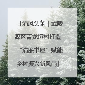 清风头条｜武陵源区青龙垭村打造“清廉书屋”赋能乡村振兴新风尚