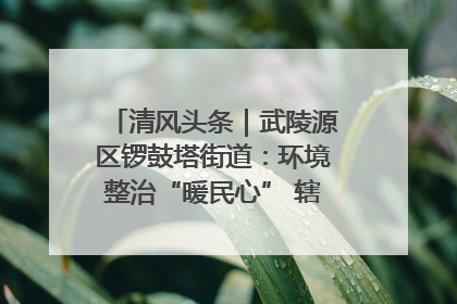 清风头条｜武陵源区锣鼓塔街道：环境整治“暖民心” 辖区面貌“靓”起来