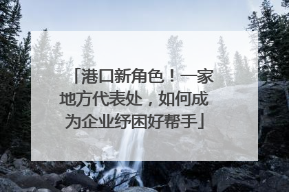 港口新角色！一家地方代表处，如何成为企业纾困好帮手