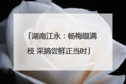 湖南江永：杨梅缀满枝 采摘尝鲜正当时