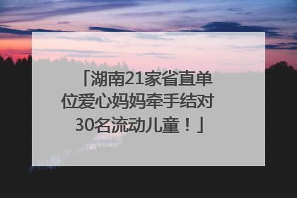 湖南21家省直单位爱心妈妈牵手结对30名流动儿童！