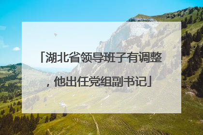 湖北省领导班子有调整，他出任党组副书记