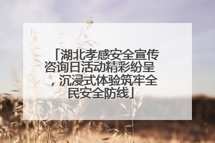 湖北孝感安全宣传咨询日活动精彩纷呈，沉浸式体验筑牢全民安全防线
