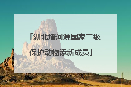 湖北堵河源国家二级保护动物添新成员