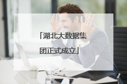 湖北大数据集团正式成立