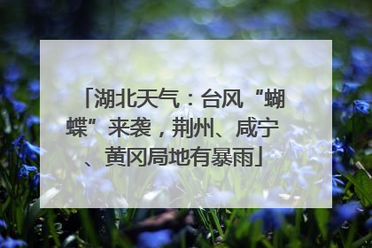 湖北天气：台风“蝴蝶”来袭，荆州、咸宁、黄冈局地有暴雨