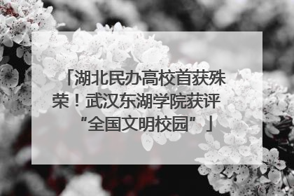 湖北民办高校首获殊荣！武汉东湖学院获评“全国文明校园”
