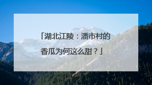 湖北江陵：潘市村的香瓜为何这么甜？