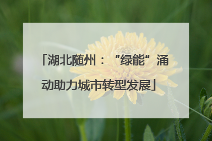 湖北随州：“绿能”涌动助力城市转型发展