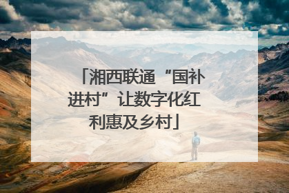 湘西联通“国补进村”让数字化红利惠及乡村