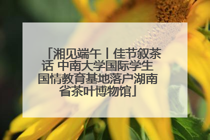 湘见端午丨佳节叙茶话 中南大学国际学生国情教育基地落户湖南省茶叶博物馆