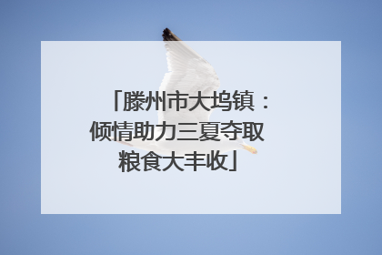 滕州市大坞镇：倾情助力三夏夺取粮食大丰收