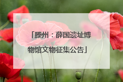 滕州：薛国遗址博物馆文物征集公告