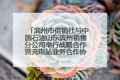 滨州市供销社与中国石油山东滨州销售分公司举行战略合作暨充电站业务合作协议签约仪式