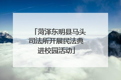 菏泽东明县马头司法所开展民法典进校园活动