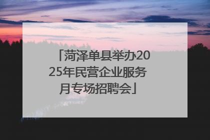 菏泽单县举办2025年民营企业服务月专场招聘会