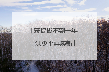 获提拔不到一年，洪少平再履新