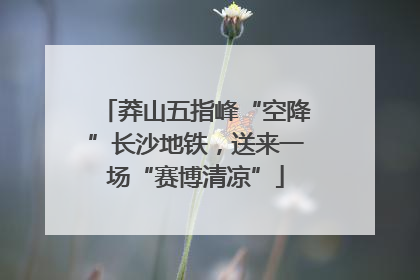 莽山五指峰“空降”长沙地铁，送来一场“赛博清凉”