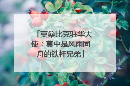 莫桑比克驻华大使：莫中是风雨同舟的铁杆兄弟