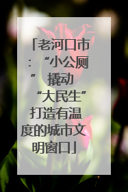老河口市：“小公厕” 撬动 “大民生” 打造有温度的城市文明窗口