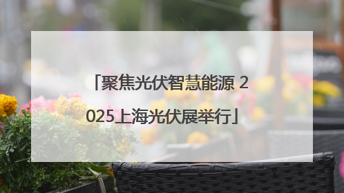 聚焦光伏智慧能源 2025上海光伏展举行