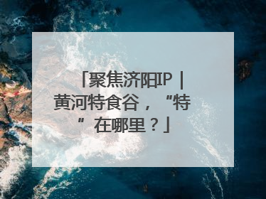 聚焦济阳IP｜黄河特食谷，“特”在哪里？