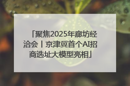 聚焦2025年廊坊经洽会丨京津冀首个AI招商选址大模型亮相