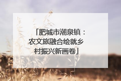 肥城市潮泉镇：农文旅融合绘就乡村振兴新画卷