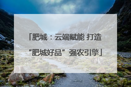 肥城：云端赋能 打造“肥城好品”强农引擎