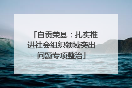 自贡荣县：扎实推进社会组织领域突出问题专项整治