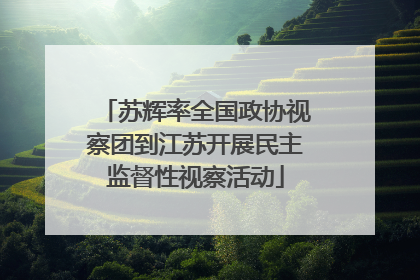 苏辉率全国政协视察团到江苏开展民主监督性视察活动