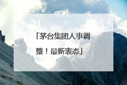 茅台集团人事调整！最新表态